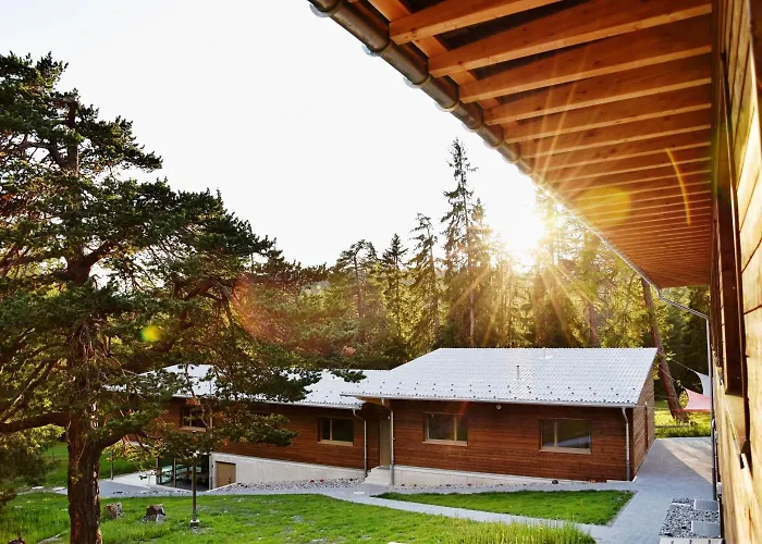 Sport- Und Don Bosco *