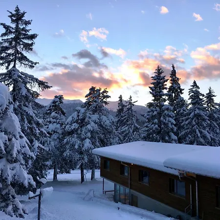 Sport- Und Don Bosco 酒店